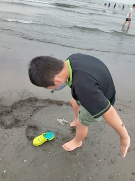 新江ノ島水族館に投稿された画像（2023/6/25）