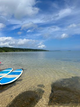 西表島 ADVENTURE PiPi（アドベンチャーピピ）に投稿された画像（2023/6/25）