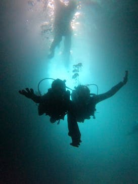 沖縄マリンサービス碧に投稿された画像（2023/6/25）