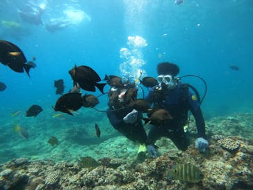 沖縄マリンサービス碧に投稿された画像（2023/6/25）