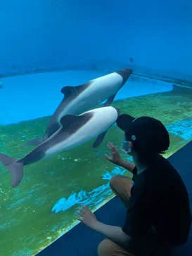 仙台うみの杜水族館に投稿された画像（2023/6/25）
