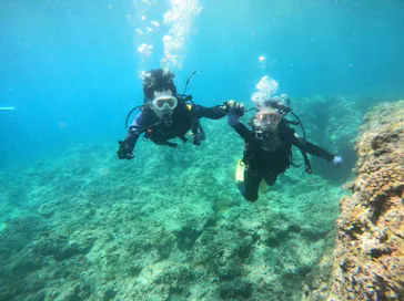 武藤潜水に投稿された画像（2023/6/25）