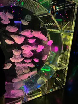 マクセル アクアパーク品川に投稿された画像（2023/6/25）