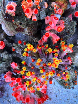 マクセル アクアパーク品川に投稿された画像（2023/6/25）