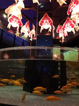 すみだ水族館に投稿された画像（2023/6/25）