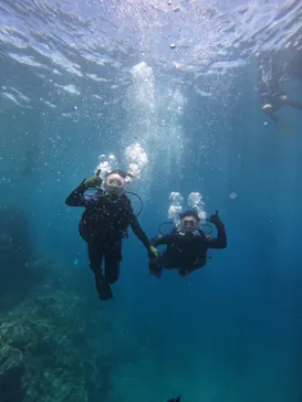 武藤潜水に投稿された画像（2023/6/25）
