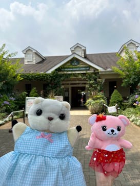 横浜イングリッシュガーデンに投稿された画像（2023/6/25）