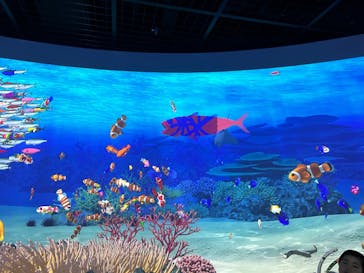 鴨川シーワールドに投稿された画像（2023/6/25）