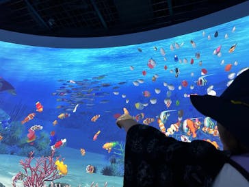 鴨川シーワールドに投稿された画像（2023/6/25）