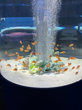 鴨川シーワールドに投稿された画像（2023/6/25）