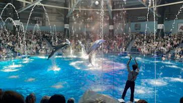 マクセル アクアパーク品川に投稿された画像（2023/6/25）