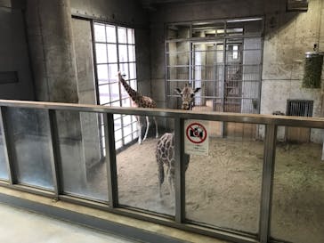 よこはま動物園ズーラシアに投稿された画像（2023/6/25）