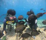 武藤潜水に投稿された画像（2023/6/25）