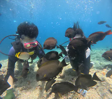 武藤潜水に投稿された画像（2023/6/25）