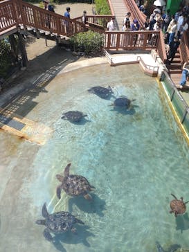 新江ノ島水族館に投稿された画像（2023/6/25）