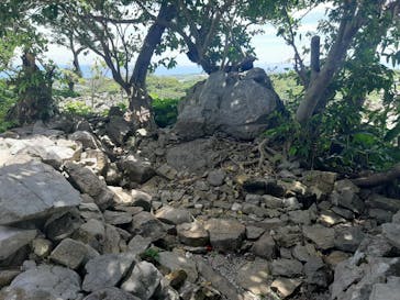 今帰仁城跡に投稿された画像（2023/6/25）