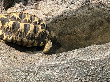 サンシャイン水族館に投稿された画像（2023/6/25）