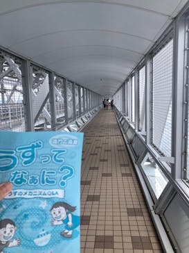 徳島県立 渦の道に投稿された画像（2023/6/25）