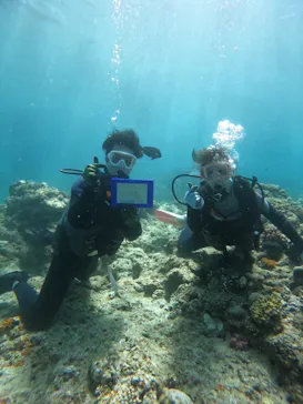 武藤潜水に投稿された画像（2023/6/25）