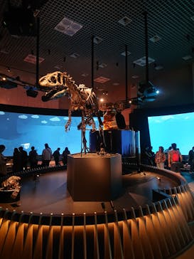 国立科学博物館に投稿された画像（2023/6/25）