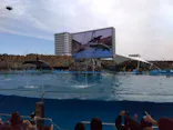 名古屋港水族館に投稿された画像（2023/6/25）