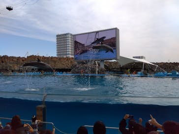 名古屋港水族館に投稿された画像（2023/6/25）