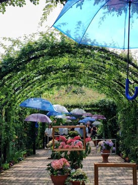 横浜イングリッシュガーデンに投稿された画像（2023/6/25）