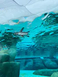 天王寺動物園に投稿された画像（2023/6/25）