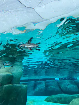 天王寺動物園に投稿された画像（2023/6/25）