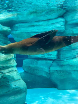 天王寺動物園に投稿された画像（2023/6/25）
