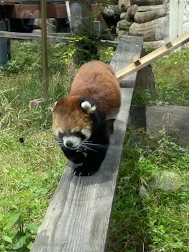 天王寺動物園に投稿された画像（2023/6/25）