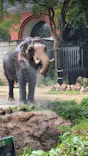 よこはま動物園ズーラシアに投稿された画像（2023/6/25）