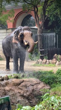 よこはま動物園ズーラシアに投稿された画像（2023/6/25）