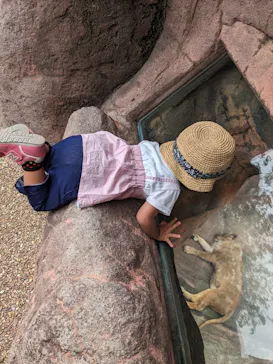 天王寺動物園に投稿された画像（2023/6/25）