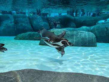 天王寺動物園に投稿された画像（2023/6/25）