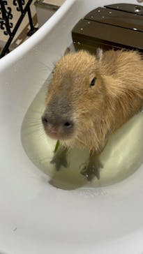 アニタッチららぽーと名古屋みなとアクルスに投稿された画像（2023/6/25）