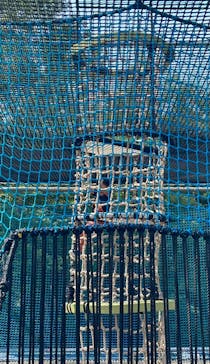 空と風のネットアスレチックHANETTAに投稿された画像（2023/6/25）