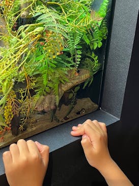 NARA IKIMONO MUSEUMに投稿された画像（2023/6/25）