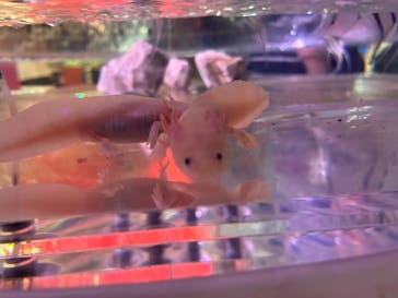 NARA IKIMONO MUSEUMに投稿された画像（2023/6/25）