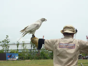 神戸どうぶつ王国に投稿された画像（2023/6/25）