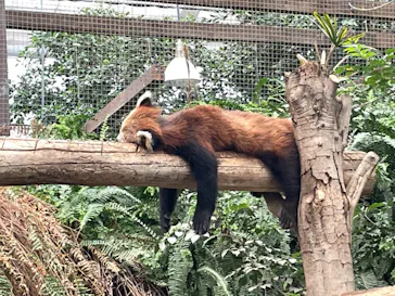 神戸どうぶつ王国に投稿された画像（2023/6/25）