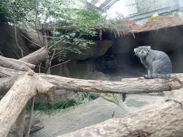 神戸どうぶつ王国に投稿された画像（2023/6/25）