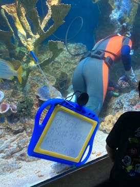 サンシャイン水族館に投稿された画像（2023/6/25）