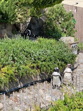 サンシャイン水族館に投稿された画像（2023/6/25）