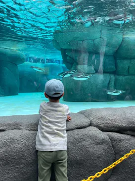 天王寺動物園に投稿された画像（2023/6/25）