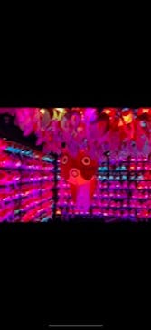 NARA KINGYO MUSEUMに投稿された画像（2023/6/25）