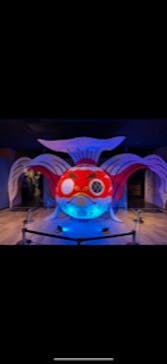 NARA KINGYO MUSEUMに投稿された画像（2023/6/25）