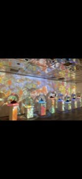 NARA KINGYO MUSEUMに投稿された画像（2023/6/25）