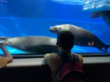 サンシャイン水族館に投稿された画像（2023/6/25）