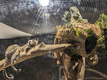 カワスイ 川崎⽔族館に投稿された画像（2023/6/25）